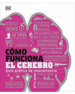 Como funciona el cerebro