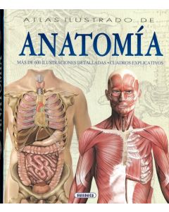 Atlas ilustrado de anatomia