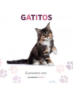 Calendario gatitos 2025