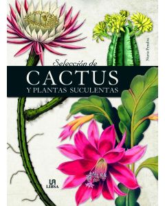 Seleccion de cactus y plantas suculentas