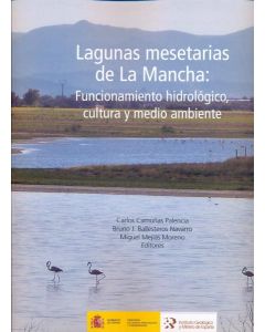 Lagunas mesetarias de la mancha