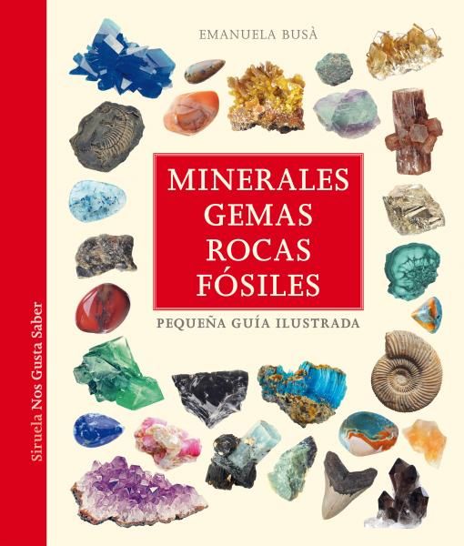 Colección de muestras de minerales de roca Natural para niños